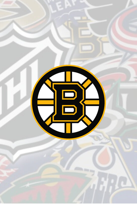 Boston Bruins