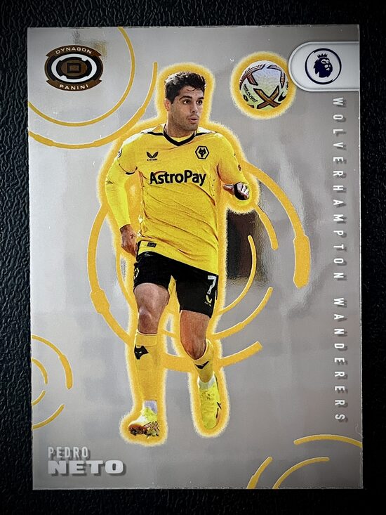 Pedro Neto